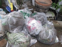 ごみ＿８ (2).JPG