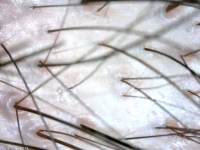 osada san 12_20 touhi-4.jpg