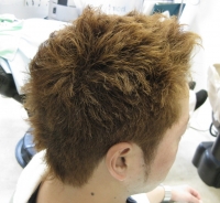 剛君カラー (2).JPG