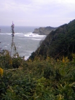 勝浦岬.JPG