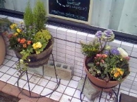 寄せ植え (2).jpg