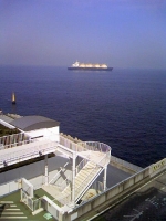 うみほたう (1).JPG