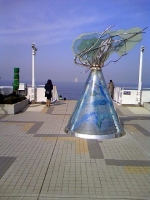 うみほたう (2).JPG