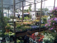 今日の花やさん.JPG