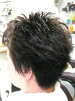 design short (11).JPG